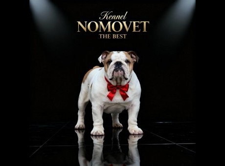 1  enbuldoglj1125.jpg